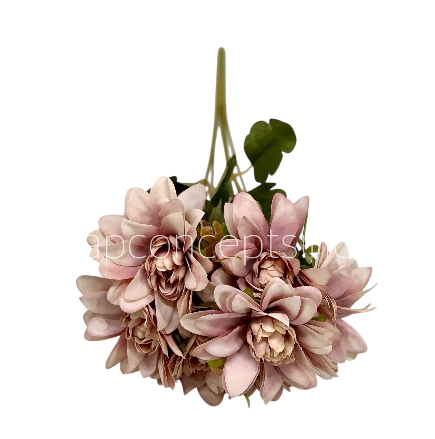 Dahlia Bunch with Leaves