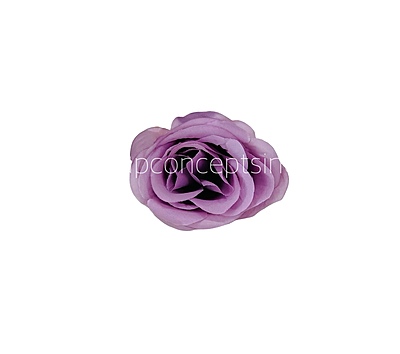 Periwinkle Roses