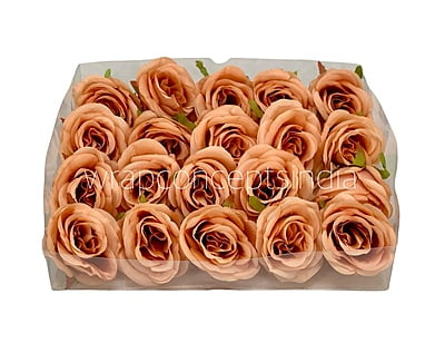 Rose-W-6191-Blush (22) Rose-W-6191-Blush (22)