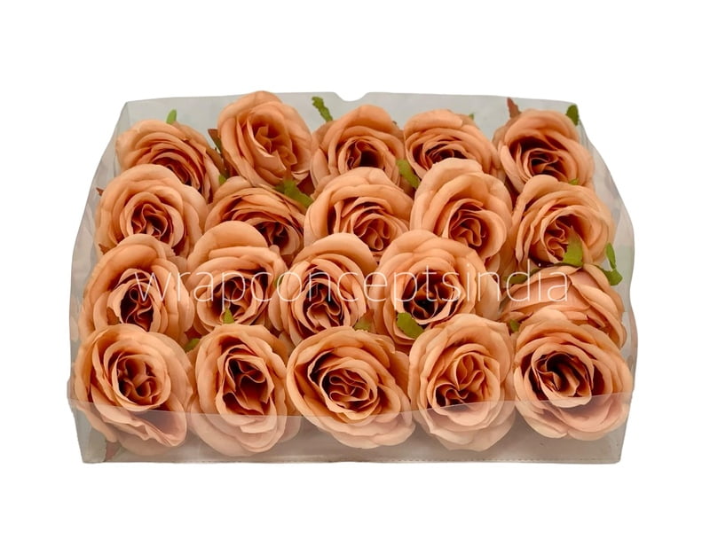 Rose-W-6191-Blush (22) Rose-W-6191-Blush (22)
