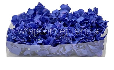 Moroccan Blue Hydrangeas Moroccan Blue Hydrangeas