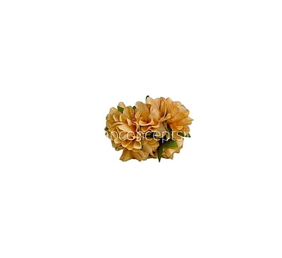 Pumpkin Aubrieta Flower