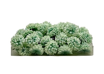 Small Carnation - Pistachio