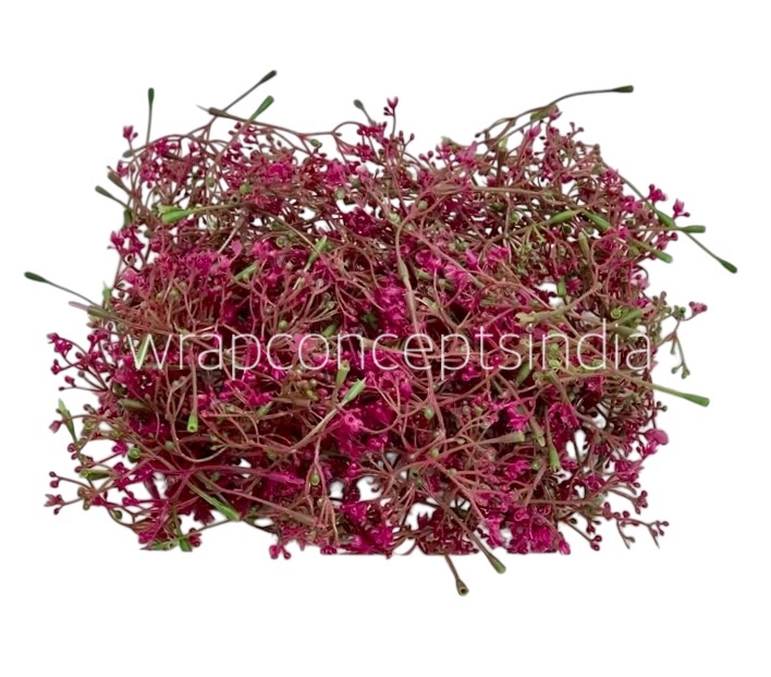 Magenta Floret Leaves Magenta Floret Leaves