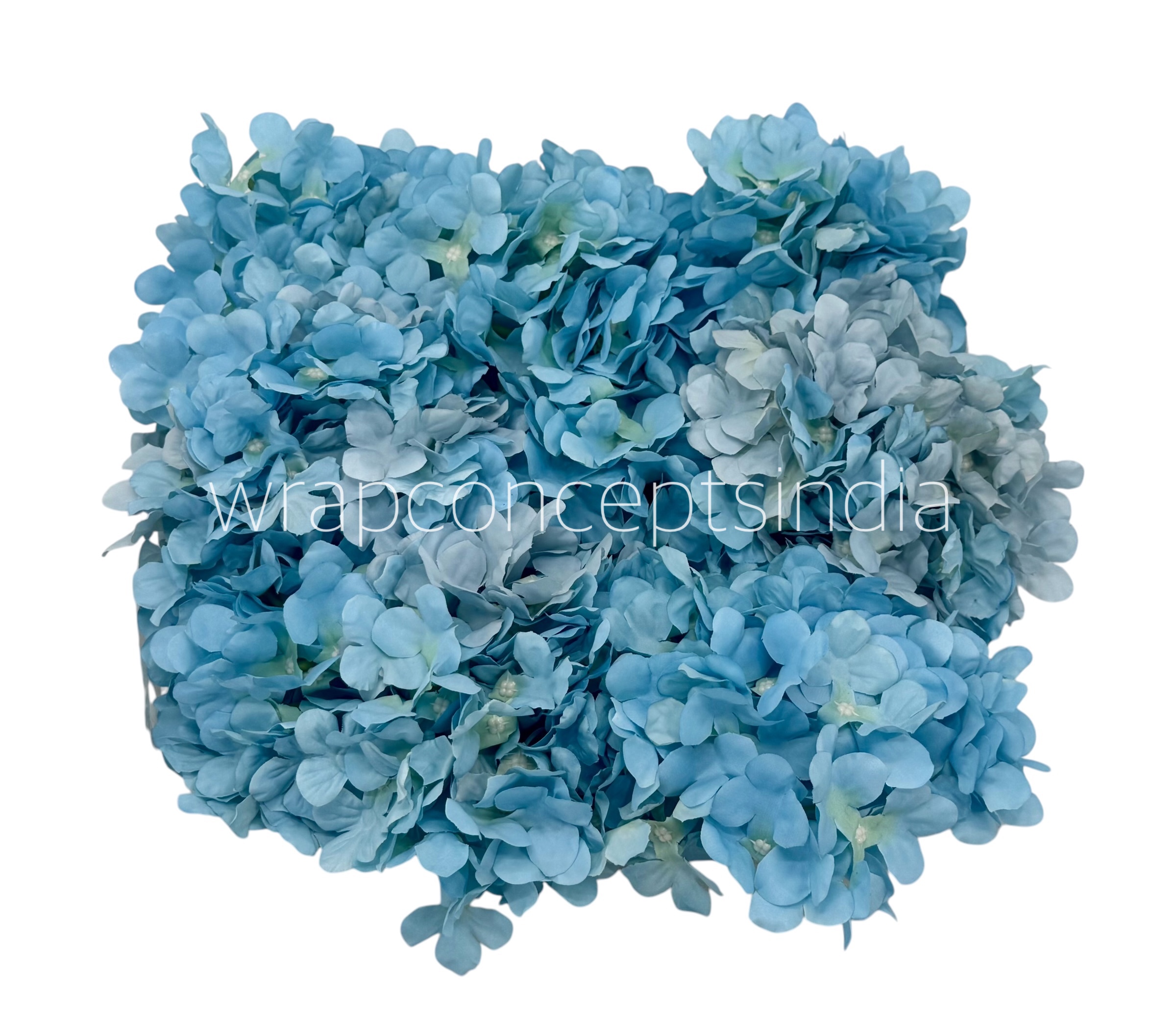 Sky Hydrangeas