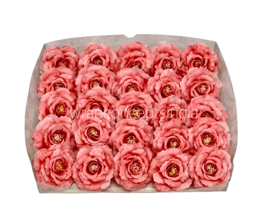 Peach Burst Open Rose Peach Burst Open Rose