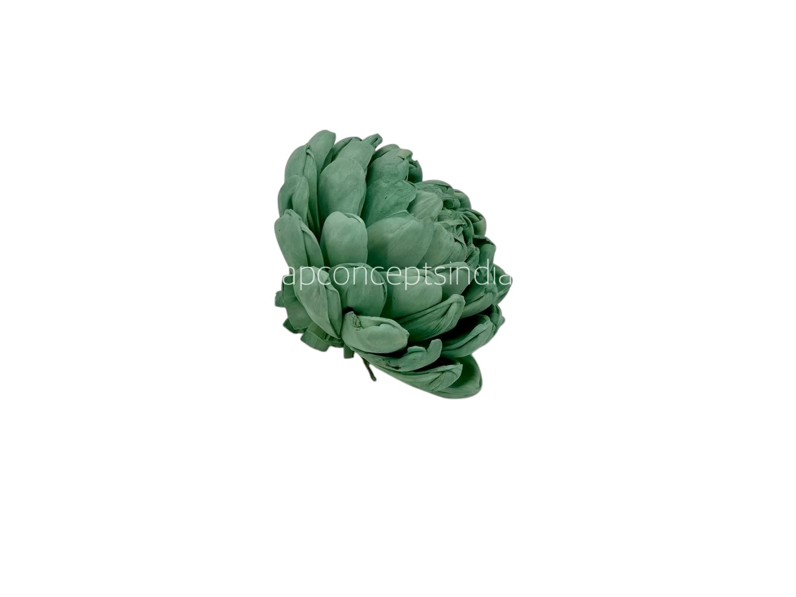 Seafoam Sola Wood Lillian Seafoam Sola Wood Lillian
