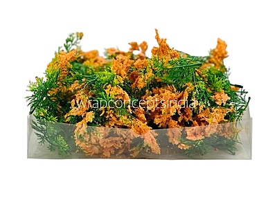 Green Fern Leaves with Orange Edges Green Fern Leaves with Orange Edges