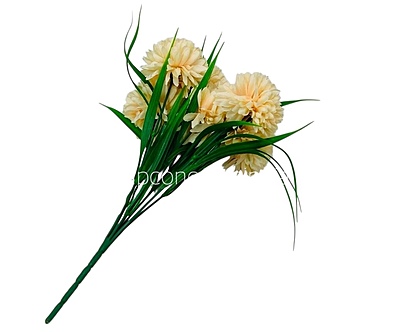 Carnation Bunch - Mullticolour Carnation Bunch - Mullticolour