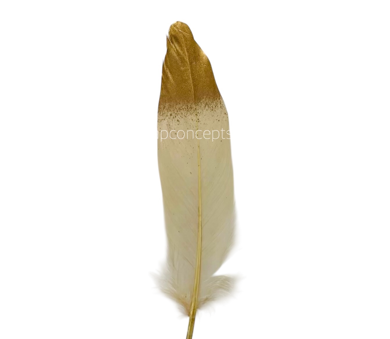 Faux Feather with Gold Edges Faux Feather with Gold Edges