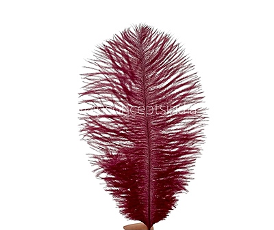 Faux Feather Rounded Edges Faux Feather Rounded Edges