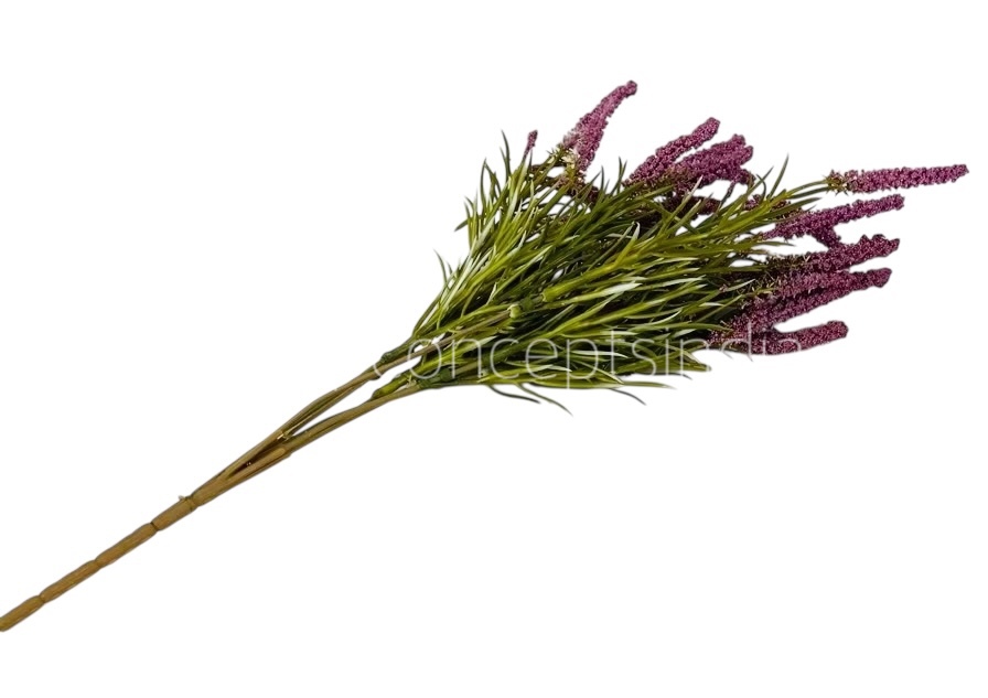 Leaves Bunch with Frosted Conifers Leaves Bunch with Frosted Conifers