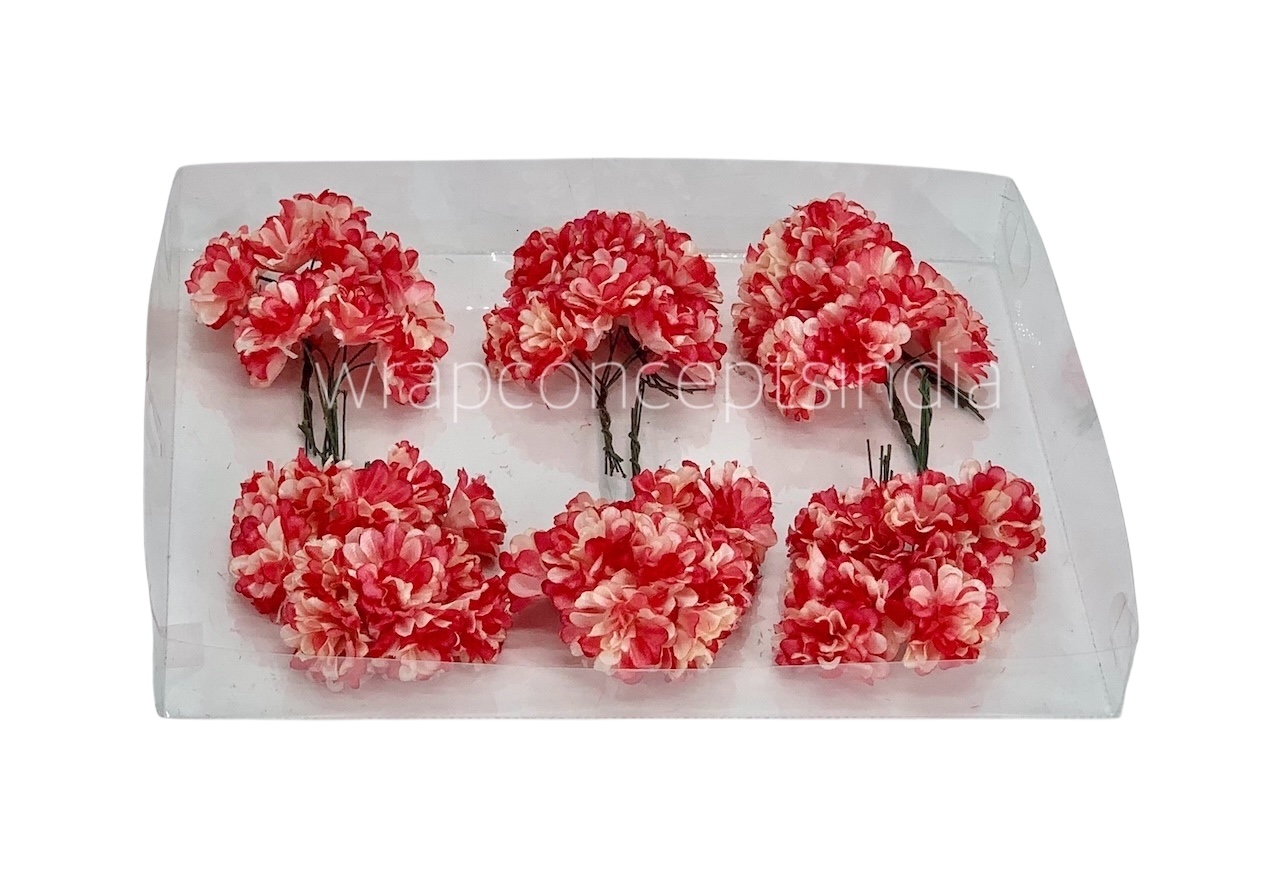 Chrysanthemum - Ivory & Coral Shaded