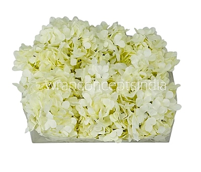 Ivory Hydrangeas