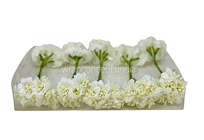 Ivory Flowers with ivory pollens