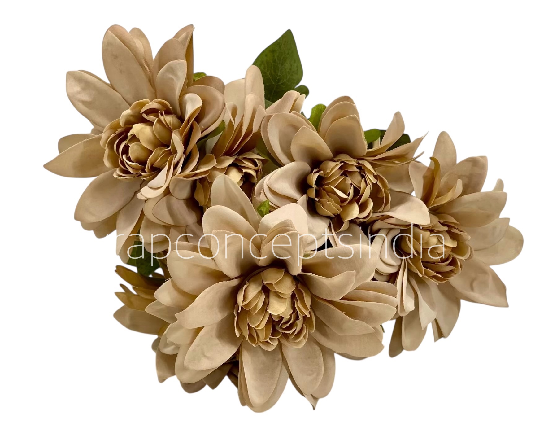 Dahlia Bunch with Leaves