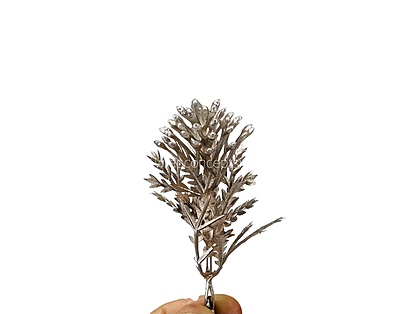 Champagne Willow Filler Leaves