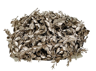 Champagne Imperial Leaf