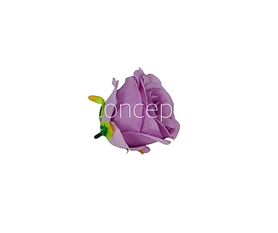 Periwinkle Roses