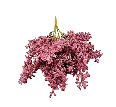 Frosted Plum Blossom Spray