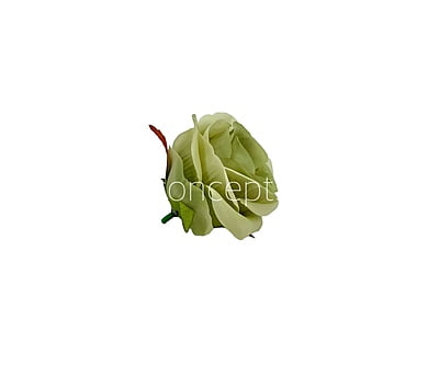 Rose-W-6191-Fuchsia Pink With Pink Shaded (10) Rose-W-6191-Fuchsia Pink With Pink Shaded (10)