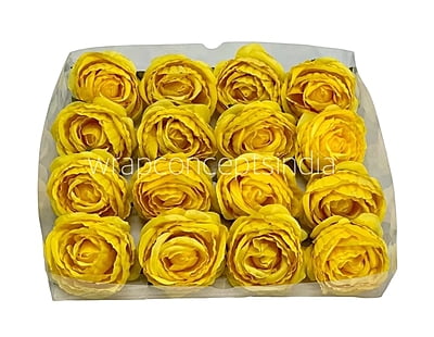 Canary Rose Flower Canary Rose Flower