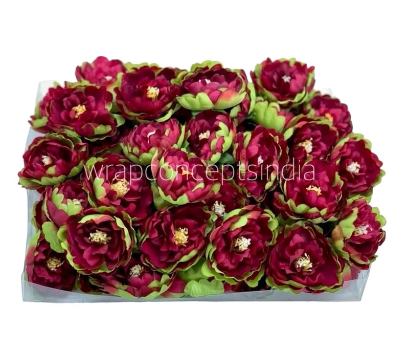 Red Peony Buds Red Peony Buds