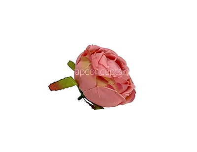 Flamingo Peony Flamingo Peony