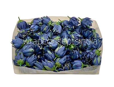 Bell Flower - Cobalt Blue Bell Flower - Cobalt Blue