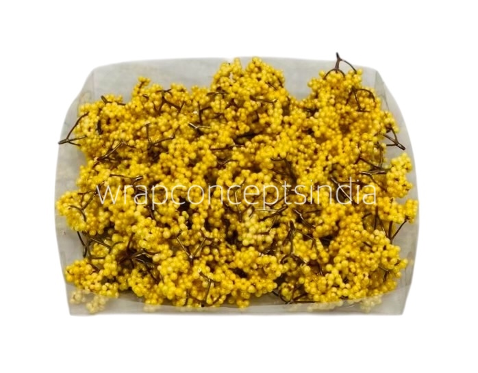 Yellow Small Fern Yellow Small Fern