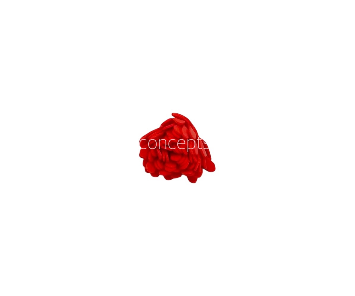 Red Foam Carnation Red Foam Carnation