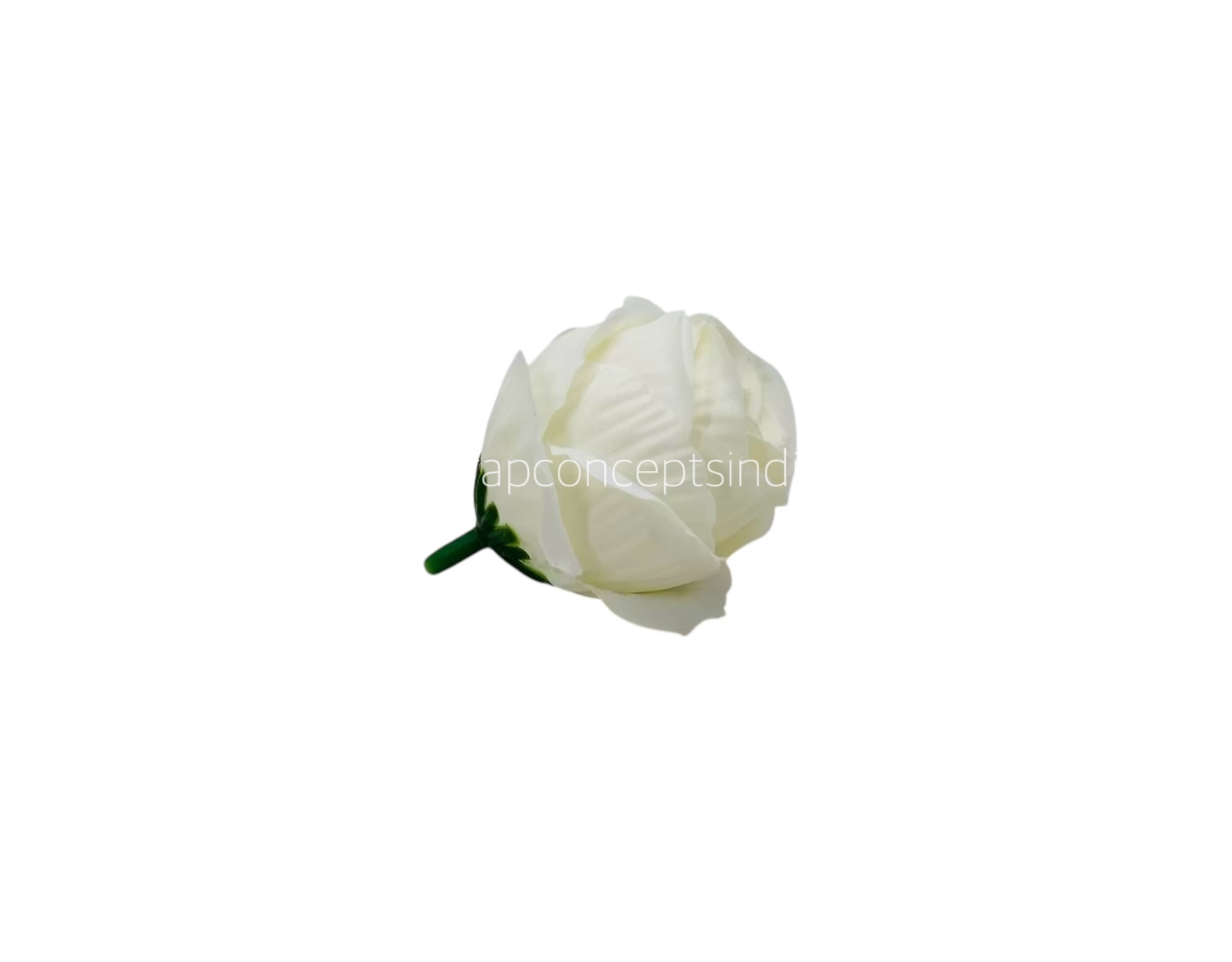 White Rose Buds