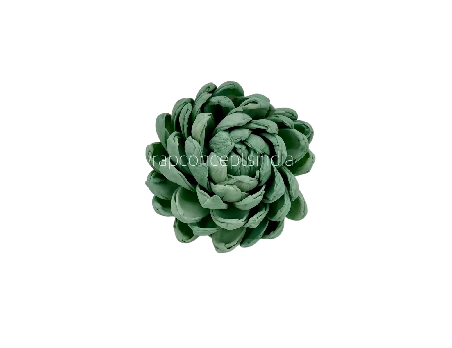 Seafoam Sola Wood Lillian Seafoam Sola Wood Lillian