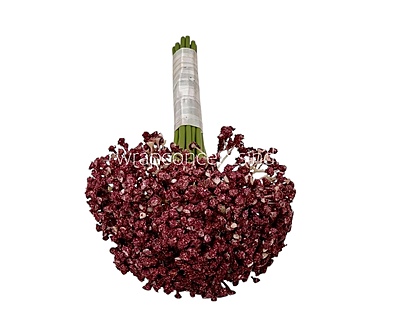 Baby Breath's Bunch