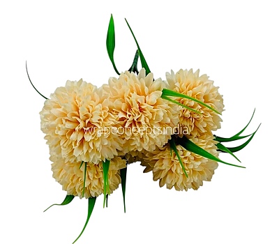 Carnation Bunch - Mullticolour Carnation Bunch - Mullticolour