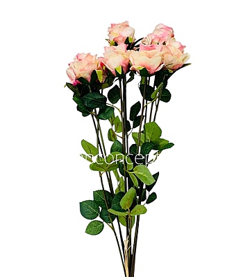 Tall Rose Sticks