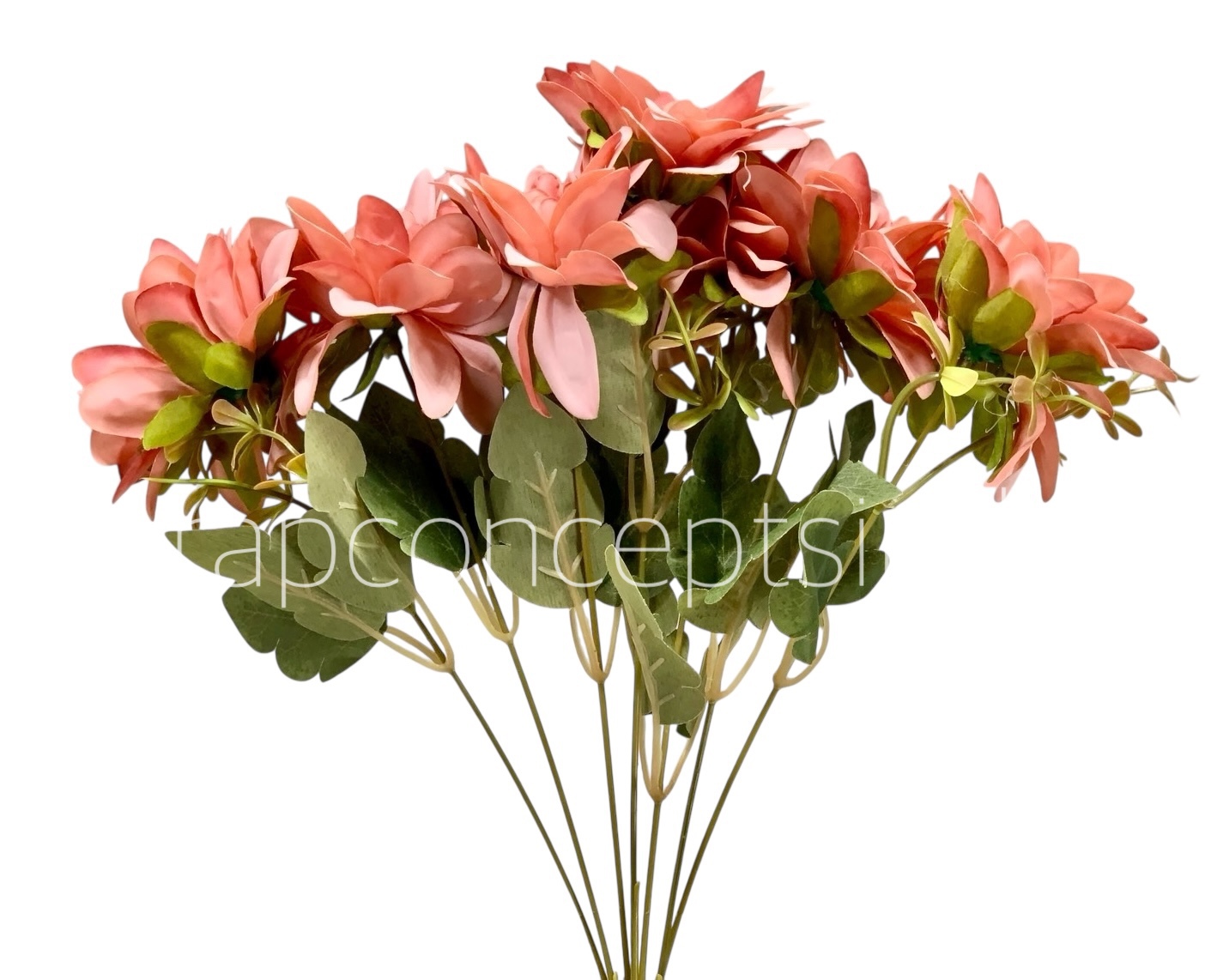 Dahlia Bunch with Leaves