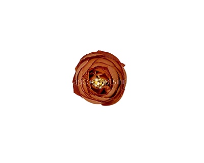 Small Peony-Rust