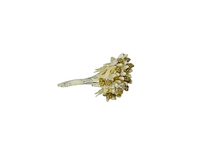 White & Glitter Gold Pollens