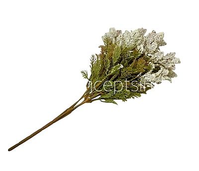 Frosted Wildflower Bush
