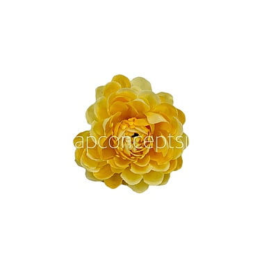 Banana Small Dahlias Banana Small Dahlias
