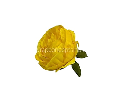 Canary Rose Flower Canary Rose Flower