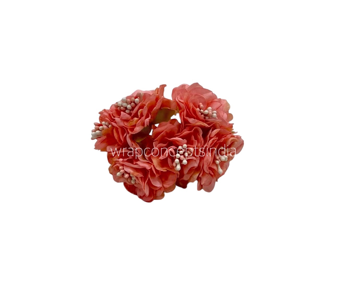 Peach Windflower Peach Windflower