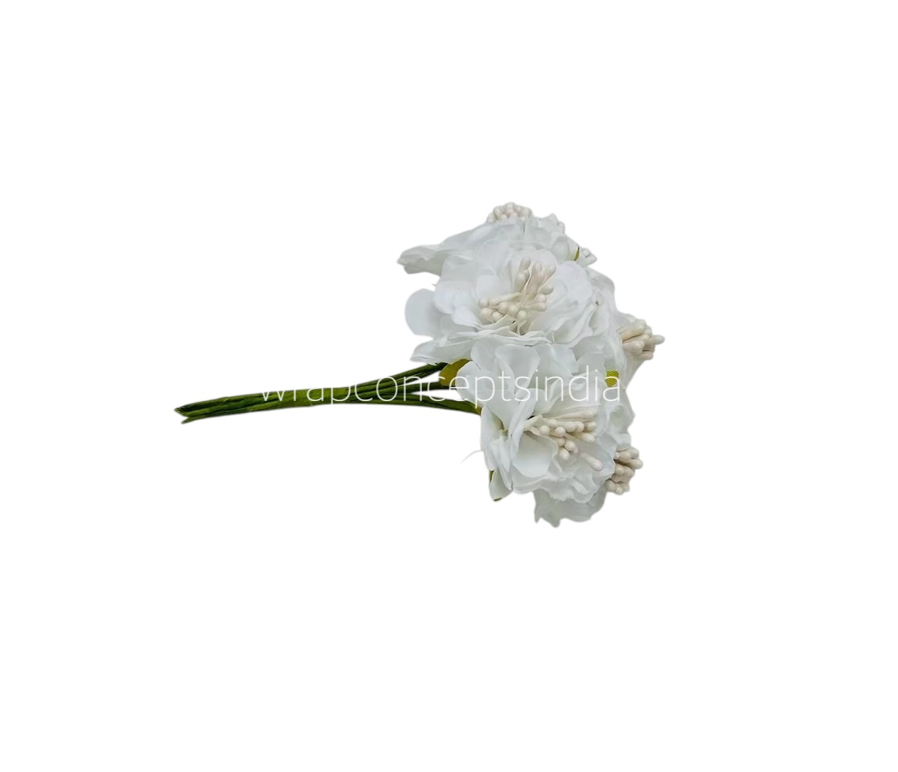 White Windflower White Windflower
