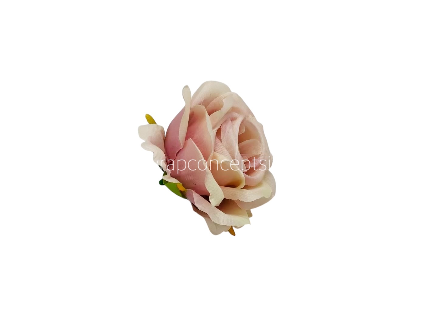 Rose - Nude with Blush Rose - Nude with Blush