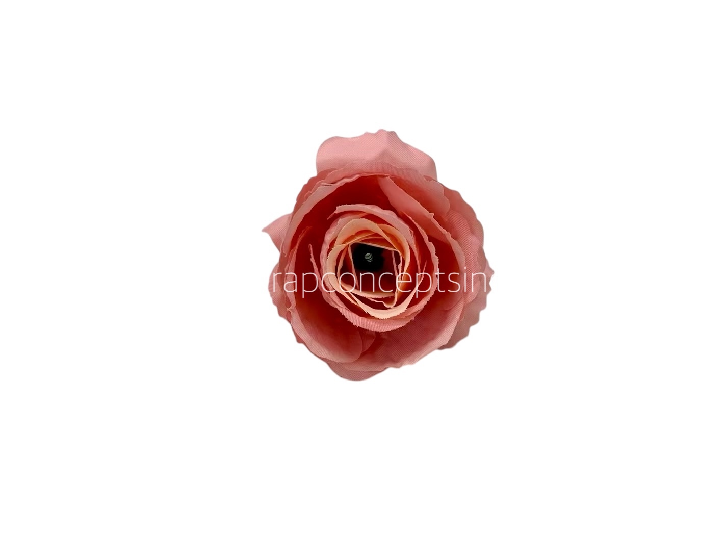 Peach with Cream Rose Buds