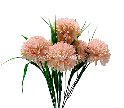 Carnation Bunch - Mullticolour Carnation Bunch - Mullticolour