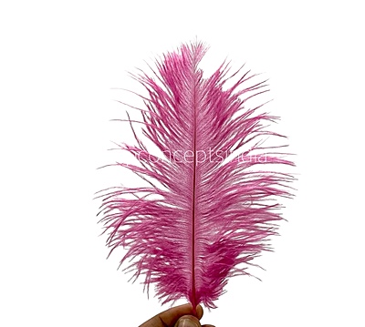 Faux Feather Rounded Edges Faux Feather Rounded Edges