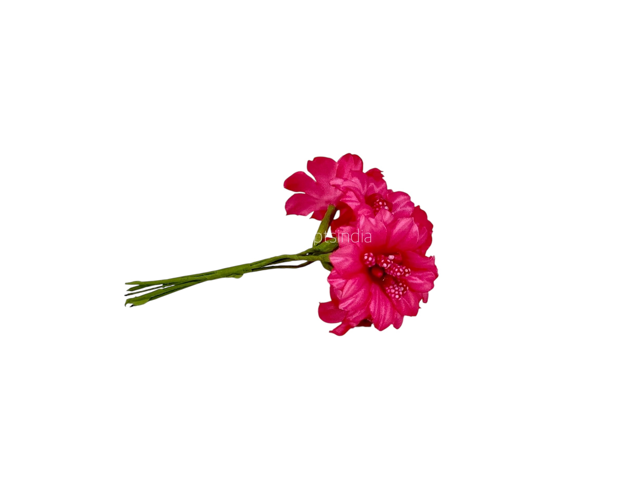 Fuchsia Flowers with Fuchsia Pollens Fuchsia Flowers with Fuchsia Pollens