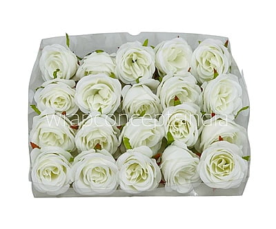 Cotton Peony